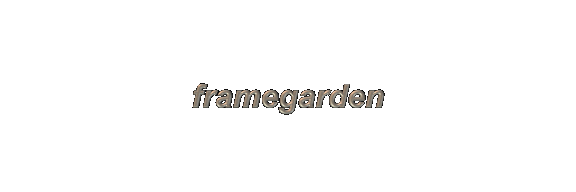 frame4